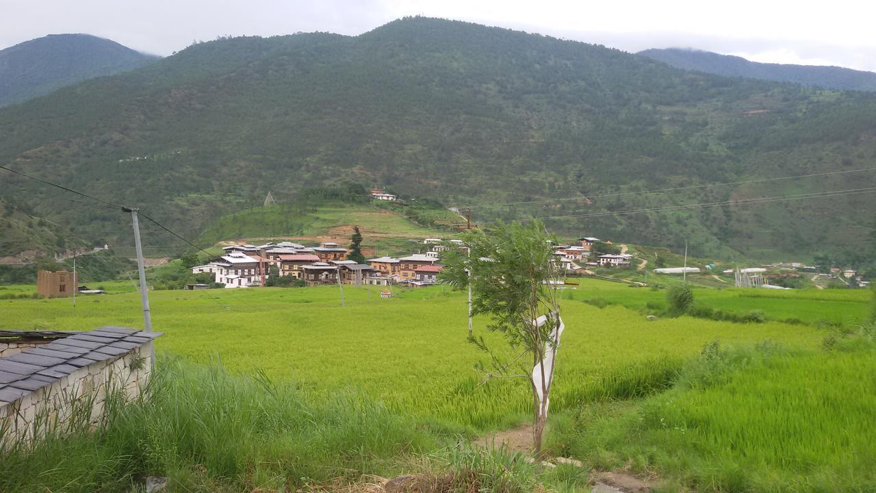 Chimi Lhakhang Village Homestay Punakha Eksteriør billede