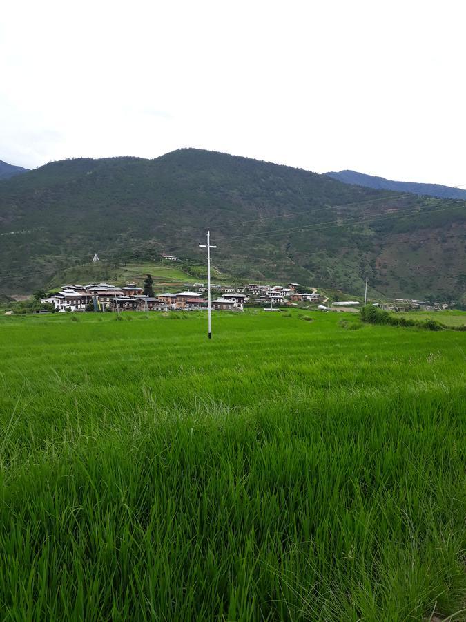 Chimi Lhakhang Village Homestay Punakha Eksteriør billede